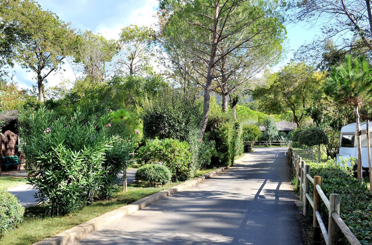 Campeggio Baia Verde Castiglione della Pescaia Zewnętrze zdjęcie