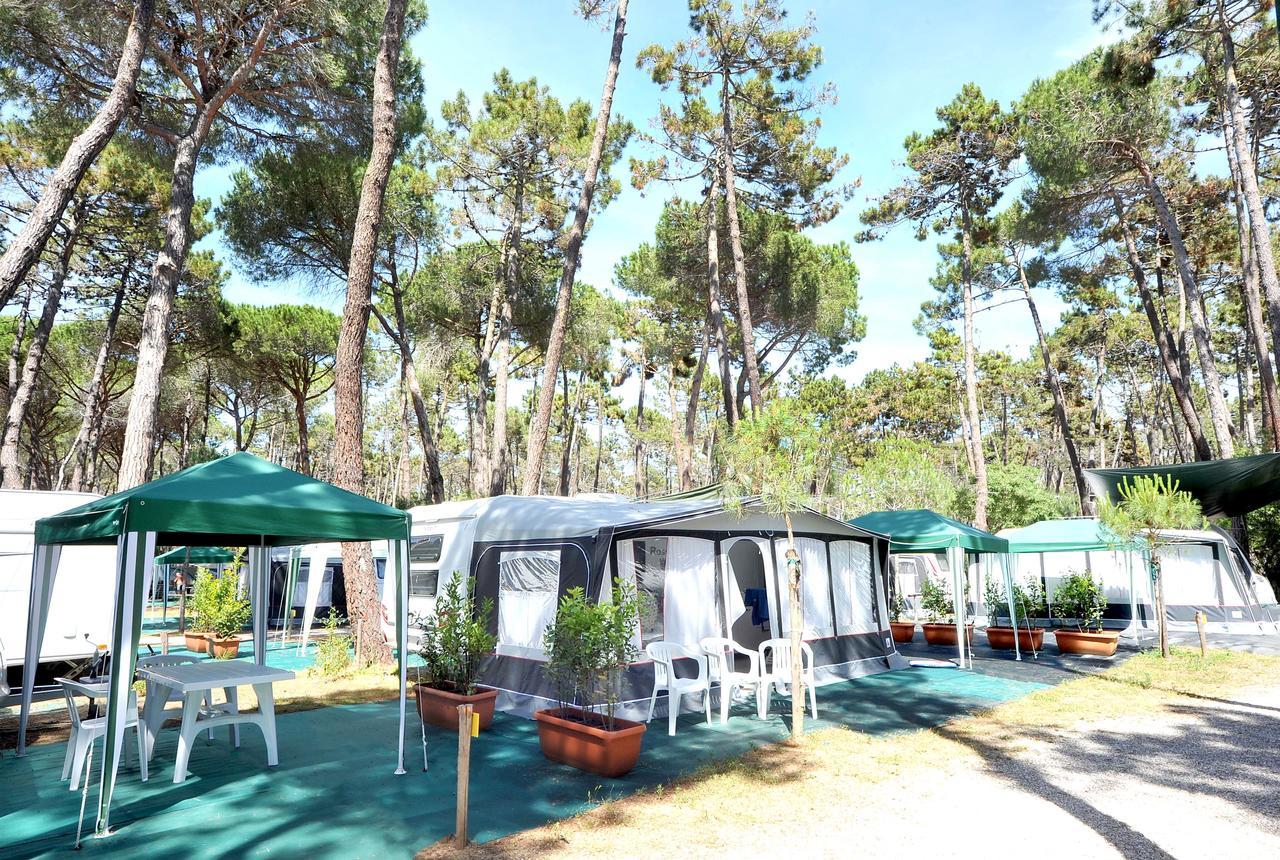 Campeggio Baia Verde Castiglione della Pescaia Zewnętrze zdjęcie