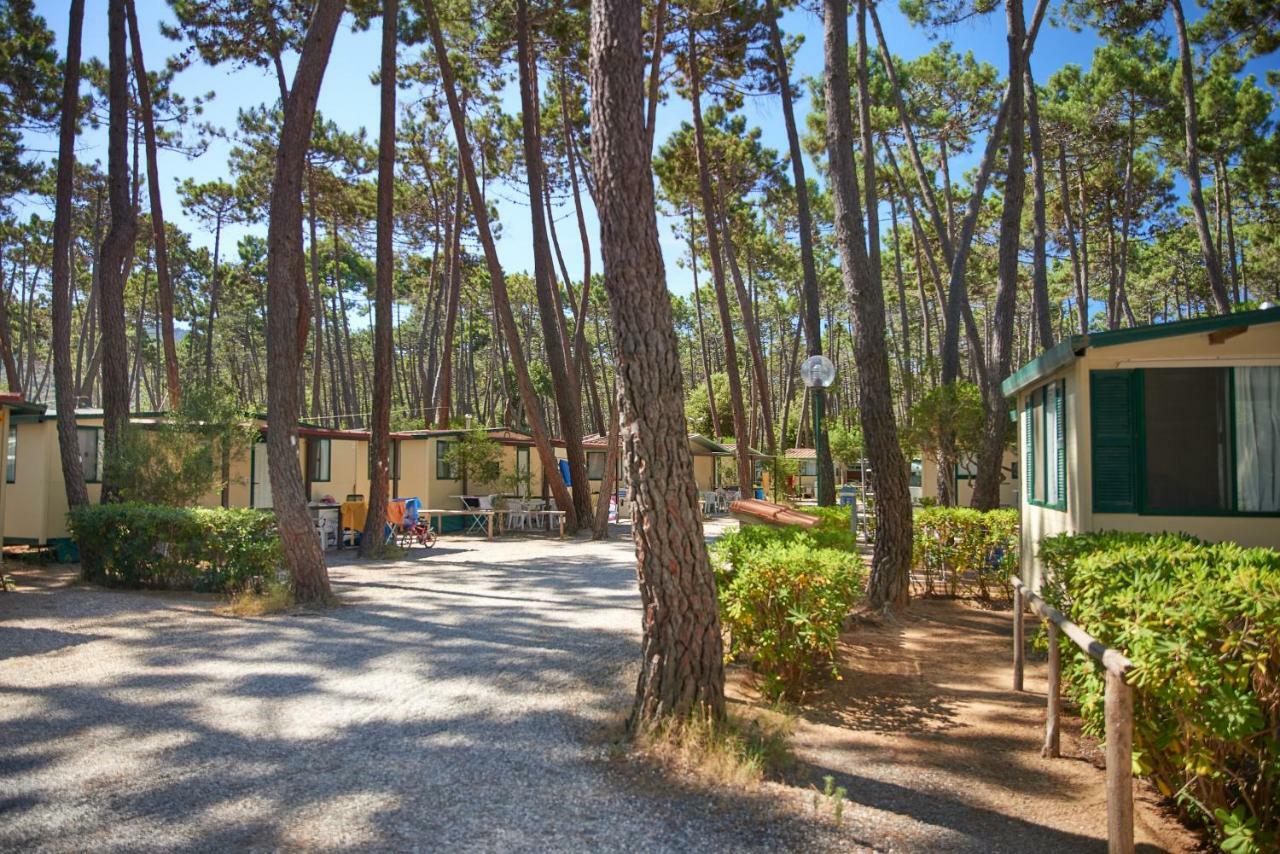 Campeggio Baia Verde Castiglione della Pescaia Zewnętrze zdjęcie