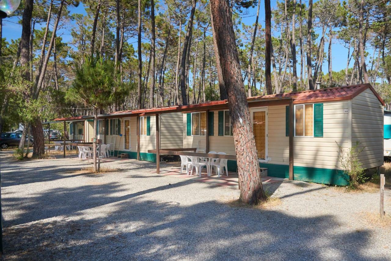 Campeggio Baia Verde Castiglione della Pescaia Zewnętrze zdjęcie